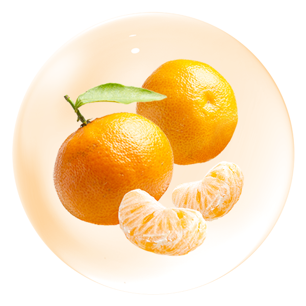 濟州橘