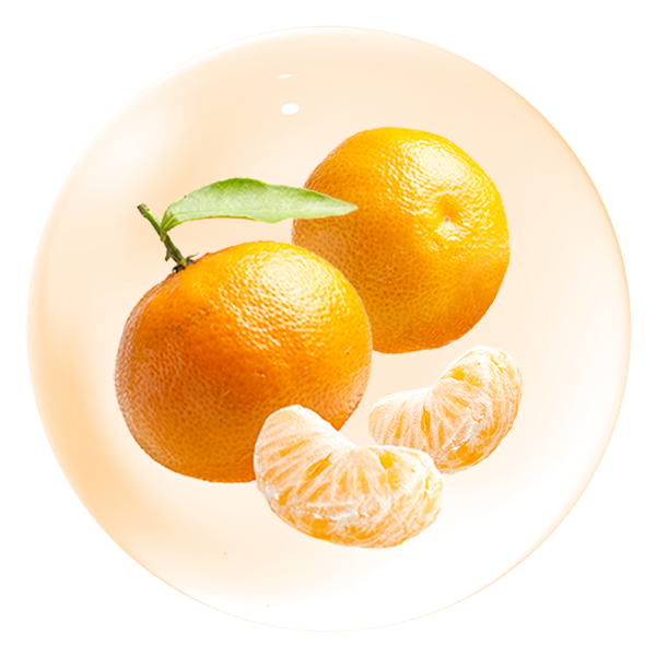 濟州橘
